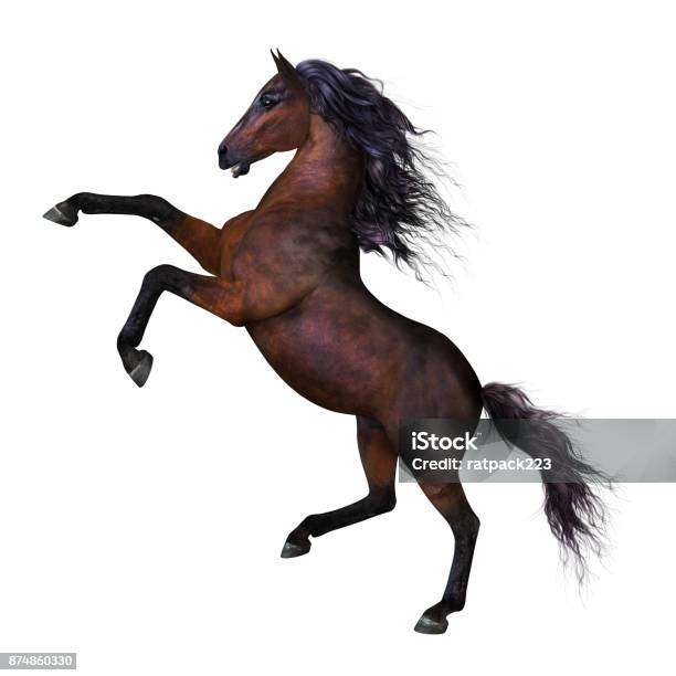 Beautiful Rearing Horse Stock Photo - Download Image Now - Horse, Rearing Up, Tail