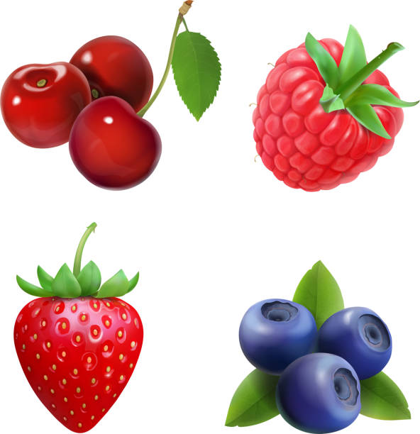 illustrazioni stock, clip art, cartoni animati e icone di tendenza di set di bacche realistico. fragola, lampone, mirtilli, illustrazione di ciliegie. - mora-selvatica