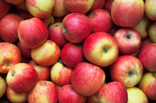istock ripe fresh red and yellow apples 874879324