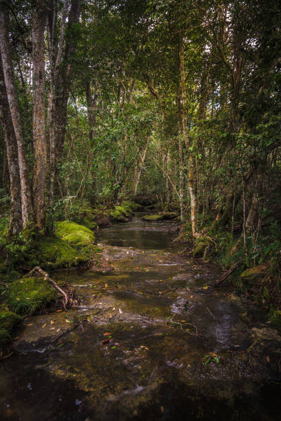 istock River between the colorful trees go to waterfall. 874880618