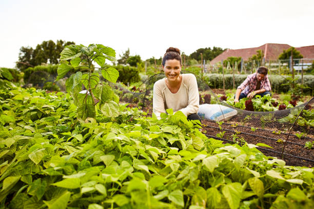 istock The garden is looking good 874883842