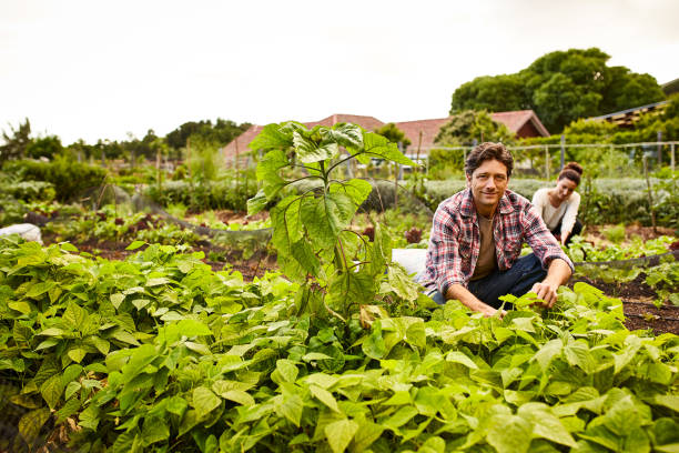 istock The couple who gardens together... 874883874