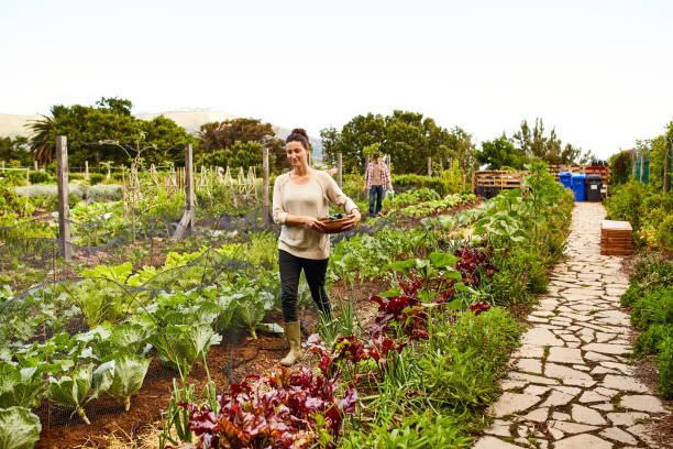 istock Gardening is worth the rewards 874883888