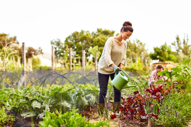 istock Keeping her plants healthy and hydrated 874883928
