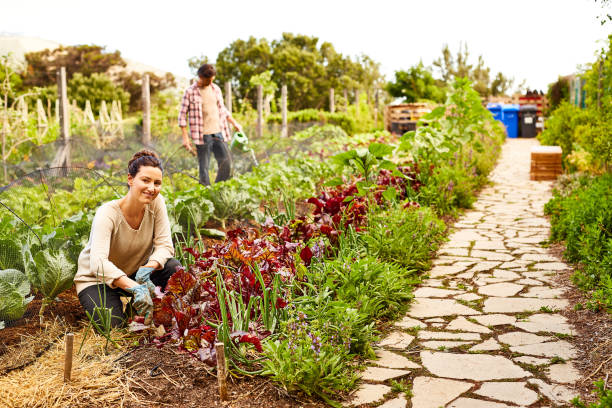 istock Nothing better than a bit of gardening 874883930