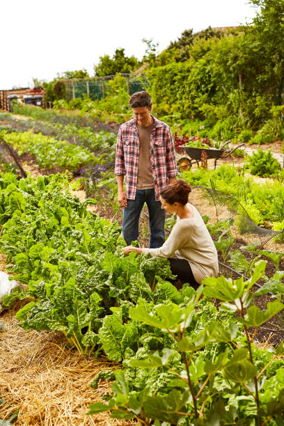 istock Reaping the benefits of going green 874884058