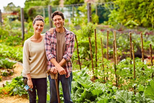 istock Welcome to our organic farm 874884062