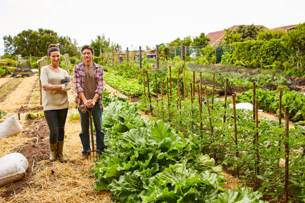 istock We plant our own produce 874884080