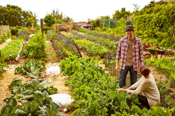 istock They turned their garden dreams into reality 874884090