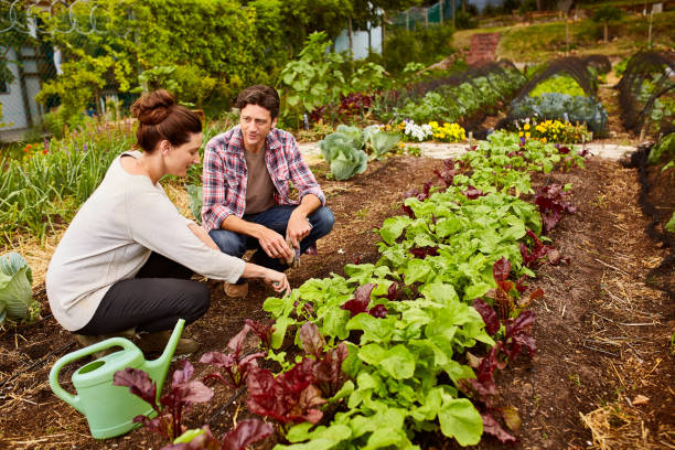 istock They have respect for the earth 874884114
