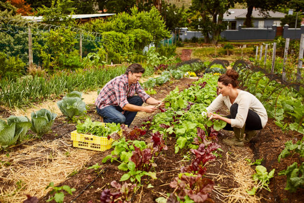 istock It takes two to grow a healthy marriage 874884236