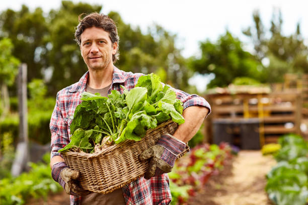 istock Healthy is the only way 874884310