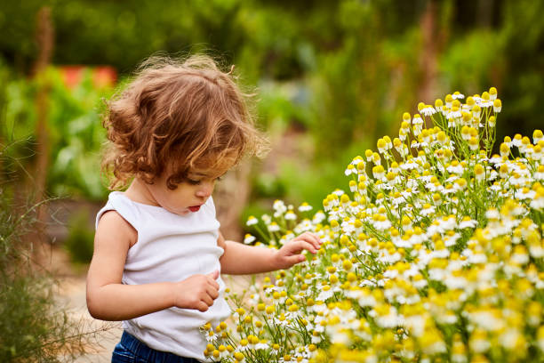 la nature est un professeur - baby toddler child flower photos et images de collection