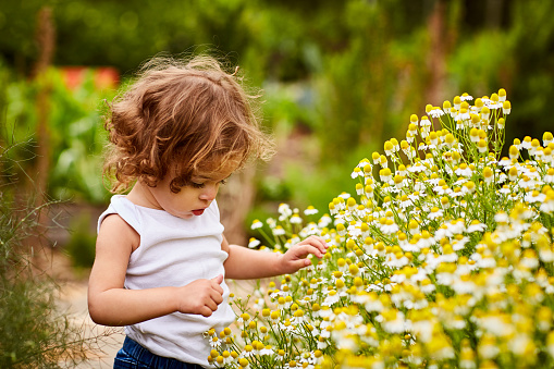 Shot of an adorable little girl picking flowers in a garden