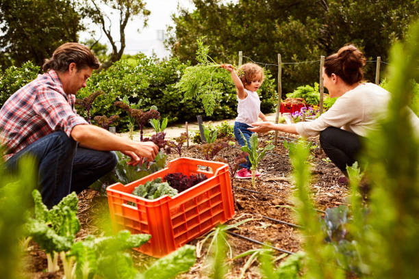 istock Getting an early start in organic living 874884536
