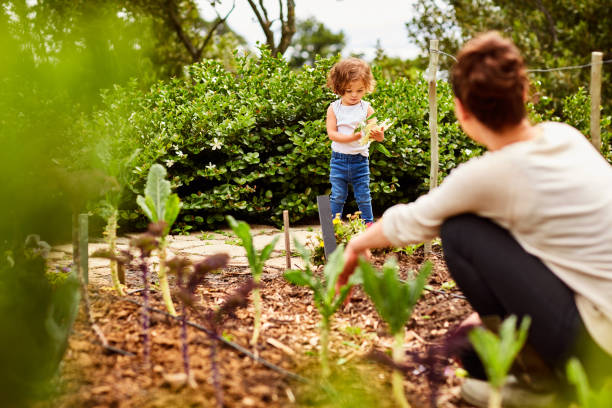 istock Going organic as a family 874884620