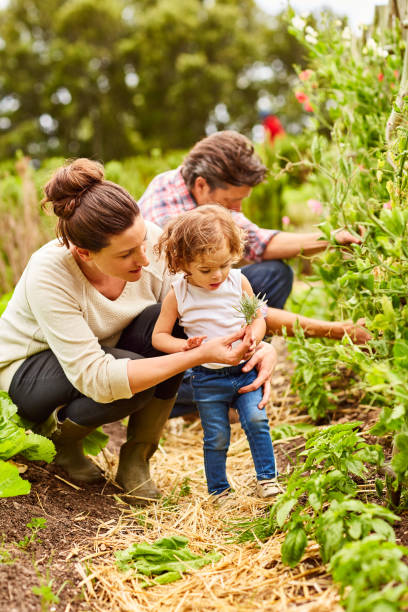 istock Growing a family bond 874884658