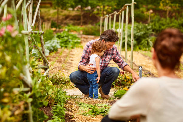 istock Working the land as a family 874884698
