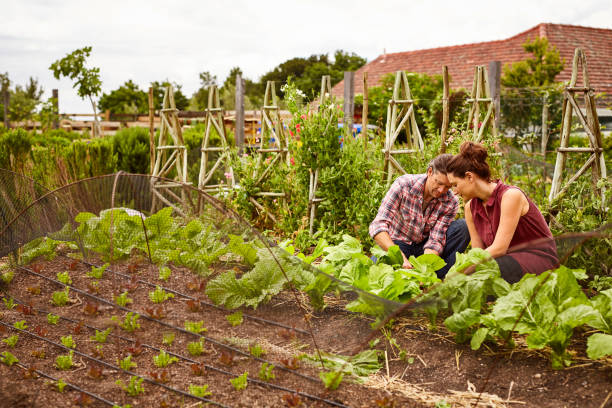 istock Gardening is a labor of love 874884728