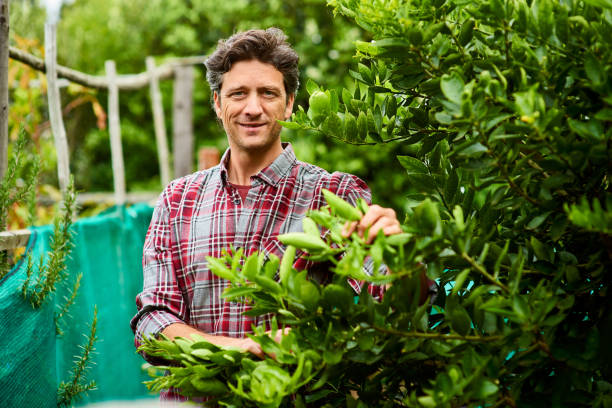 The best time to plant a tree is now