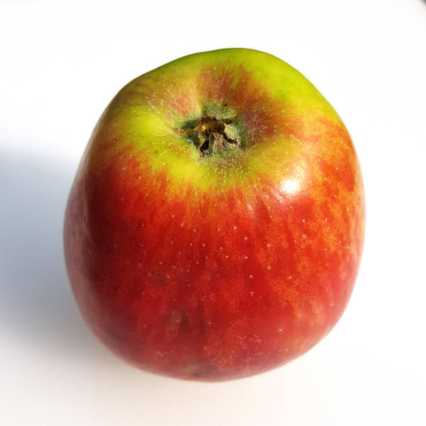 istock Freiburger Prince, malus, domestica 874887112