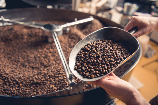 Man arms holding grains near roaster machine