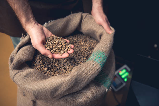 istock Male hands keeping green grains 874888178