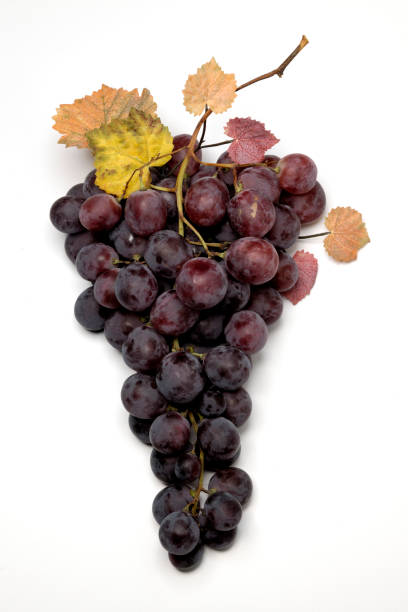 Italy grapes on white background