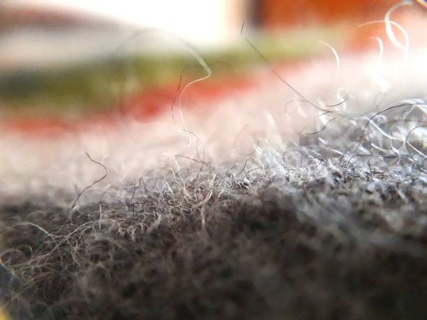 istock Wool fibers close-up 874892846