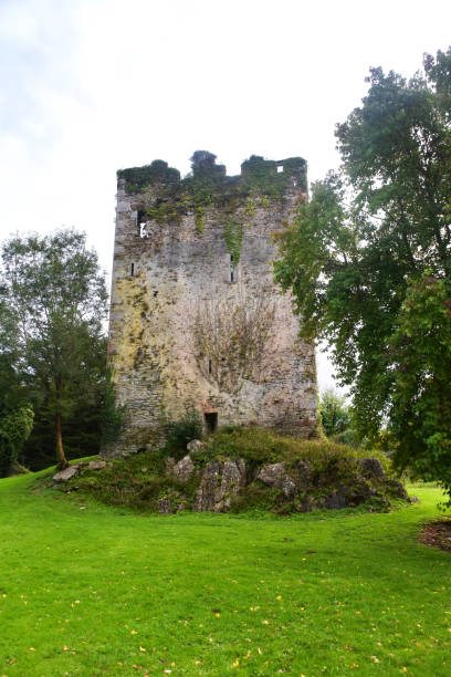 castello irlandese, contea di kerry, irlanda - anello di kerry foto e immagini stock
