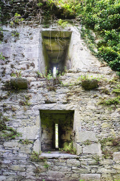 istock Irish Castle, County Kerry, Ireland 874900102