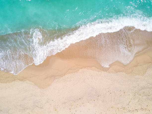 istock Aerial view of sandy beach and ocean with waves 874901022