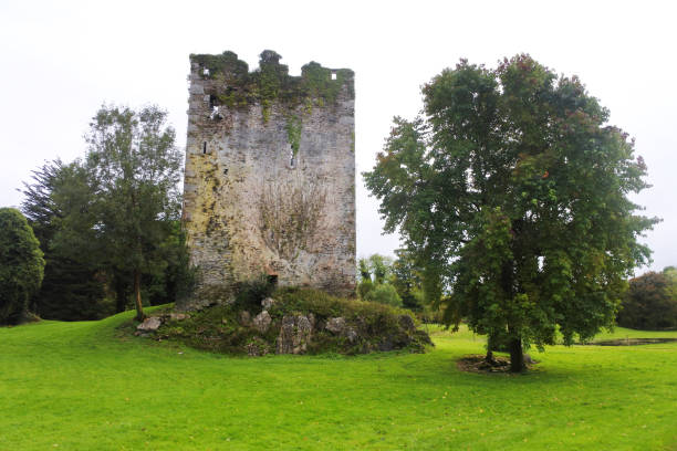 istock Irish Castle, County Kerry, Ireland 874903226