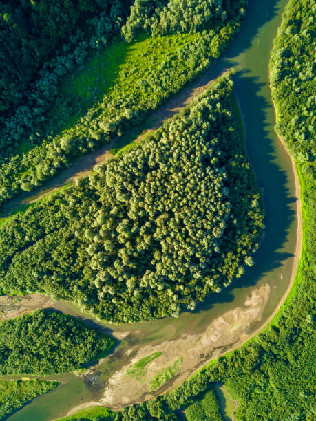 istock Aerial view of forest and river 874903516
