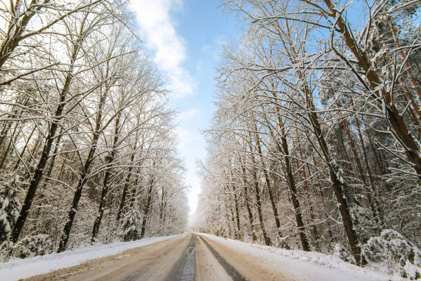 istock Winter forest nature and the road 874910360