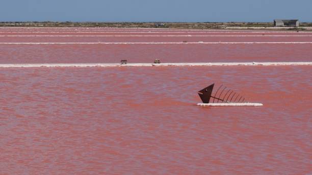 salt lake in France called Salin de Gruissan stock photo