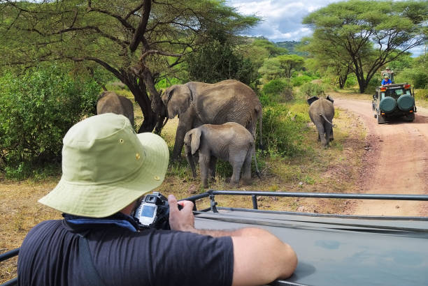 호수 manyara 국립 공원, 탄자니아, 아프리카에서 코끼리의 가족 - lake manyara national park 뉴스 사진 이미지