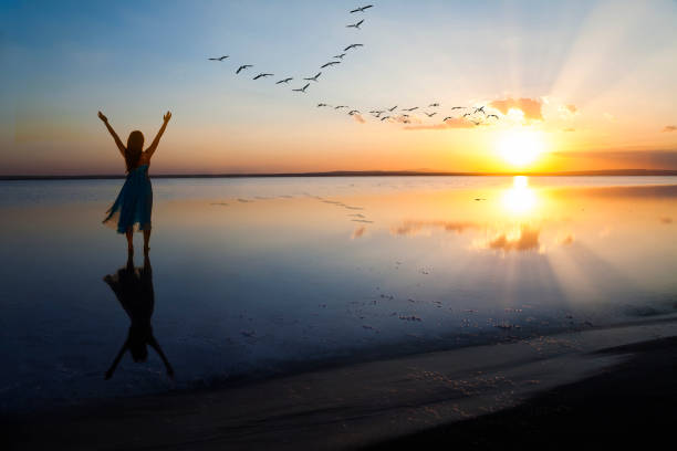 Freedom Woman on lake at sunset representing freedom women flying bird freedom stock pictures, royalty-free photos & images