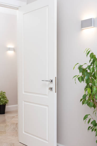 istock Modern wall lights. The bright apartments are decorated with potted plants 874922116