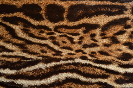 background of jaguar fur coat