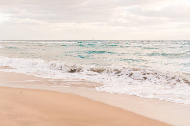 istock Teal Ocean Waves on Palm Beach 874927712