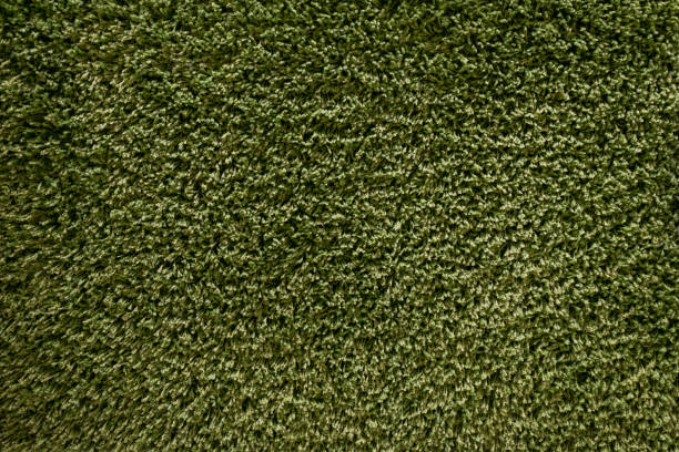 textures de tapis vert avec fibre de longs poils pour le fond, textile naturel - shag rug photos et images de collection