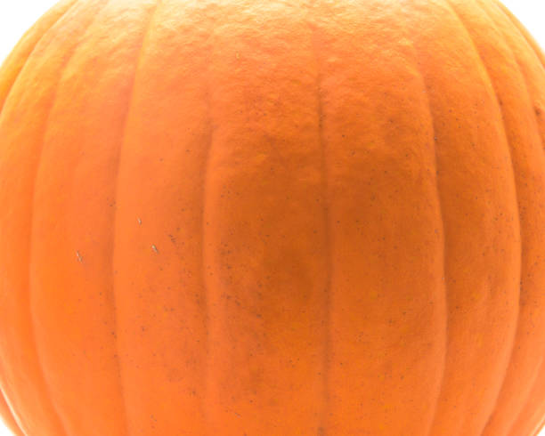 istock Fresh large orange pumpkin isolated on white background 874946756