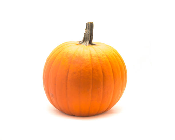 istock Fresh large orange pumpkin isolated on white background 874946854