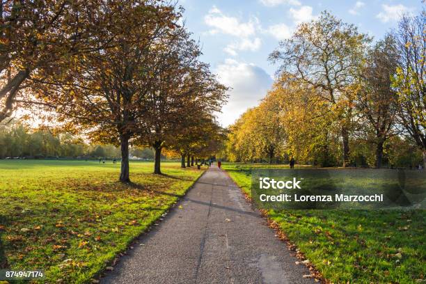 Autumn Scene In The Park Stock Photo - Download Image Now - Public Park, Natural Parkland, Autumn