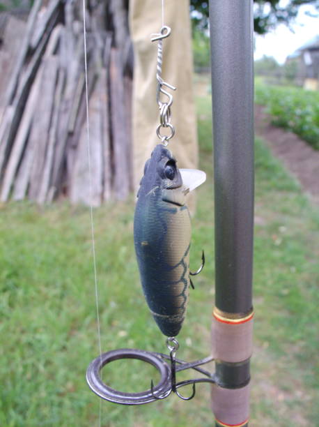 istock fishing wobbler spinning 874951058
