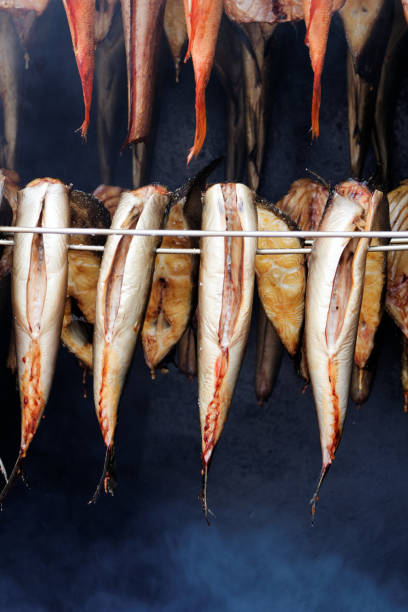 훈제 고기잡이 - halibut flatfish fish hanging 뉴스 사진 이미지