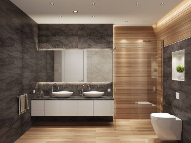 istock Modern contemporary interior bathroom with two sinks and large mirror 874975974