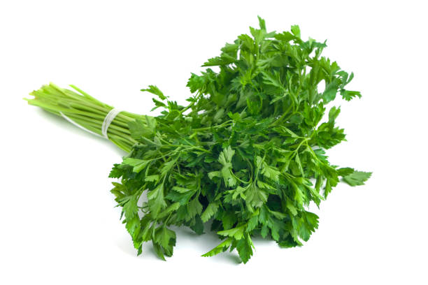 istock parsley bunch tied with ribbon isolated on white background 874976678