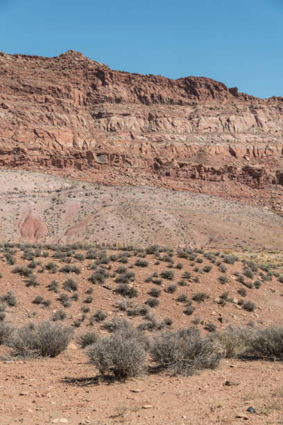 istock Desert textures in the Midwest USA 874980080
